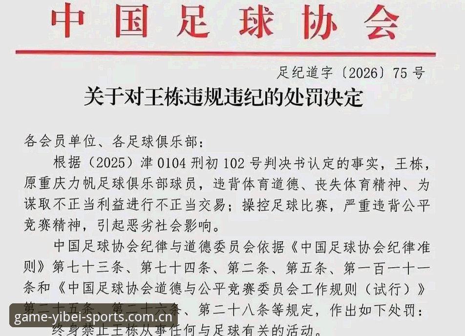 易倍体育最新版本对比 中国足协第三批禁足名单深度解析:从行业乱象到体育精神的重塑指南